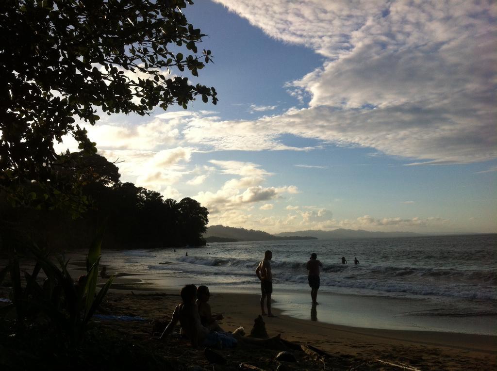 Morpheus Exotica Lodge Puerto Viejo de Talamanca 외부 사진