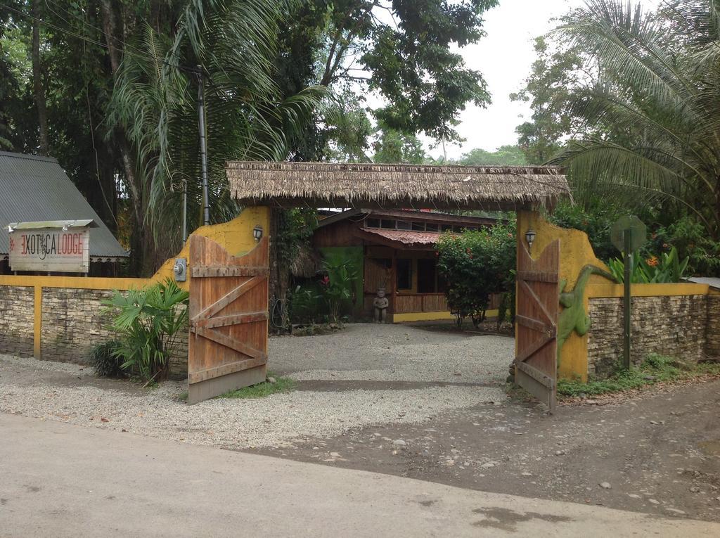 Morpheus Exotica Lodge Puerto Viejo de Talamanca 외부 사진