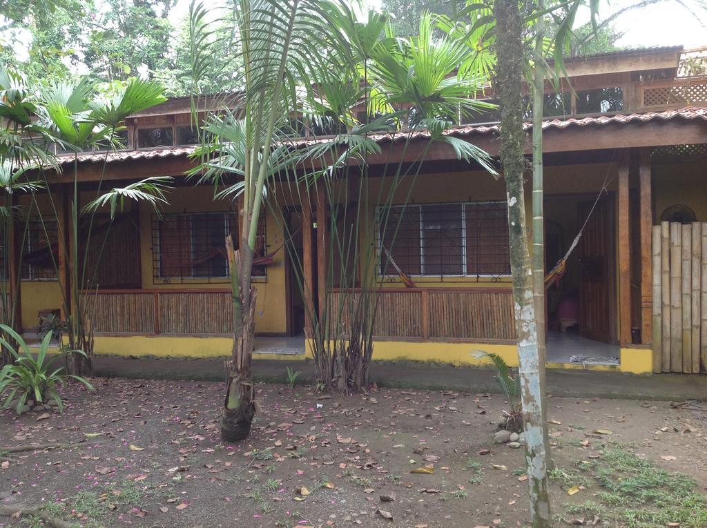 Morpheus Exotica Lodge Puerto Viejo de Talamanca 외부 사진