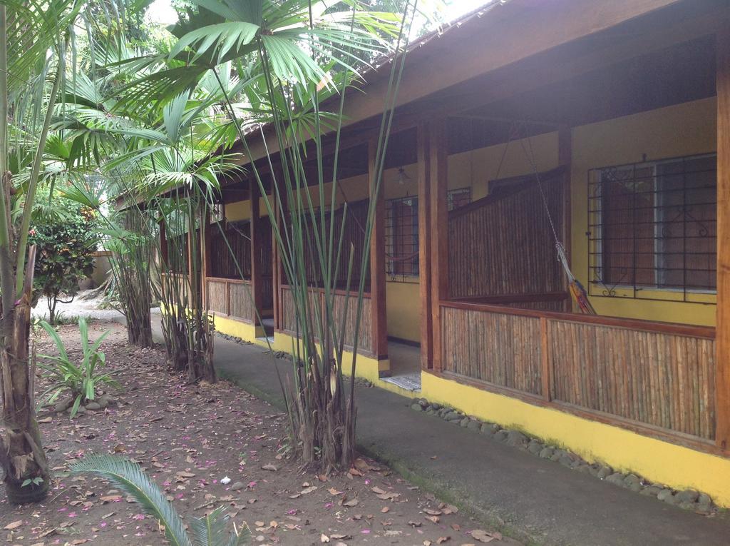 Morpheus Exotica Lodge Puerto Viejo de Talamanca 외부 사진