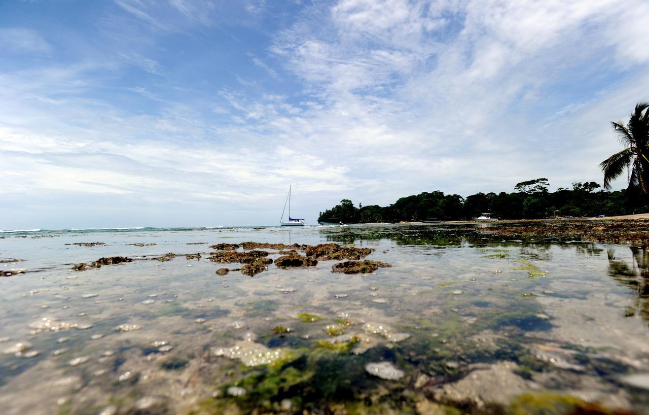 Morpheus Exotica Lodge Puerto Viejo de Talamanca 외부 사진