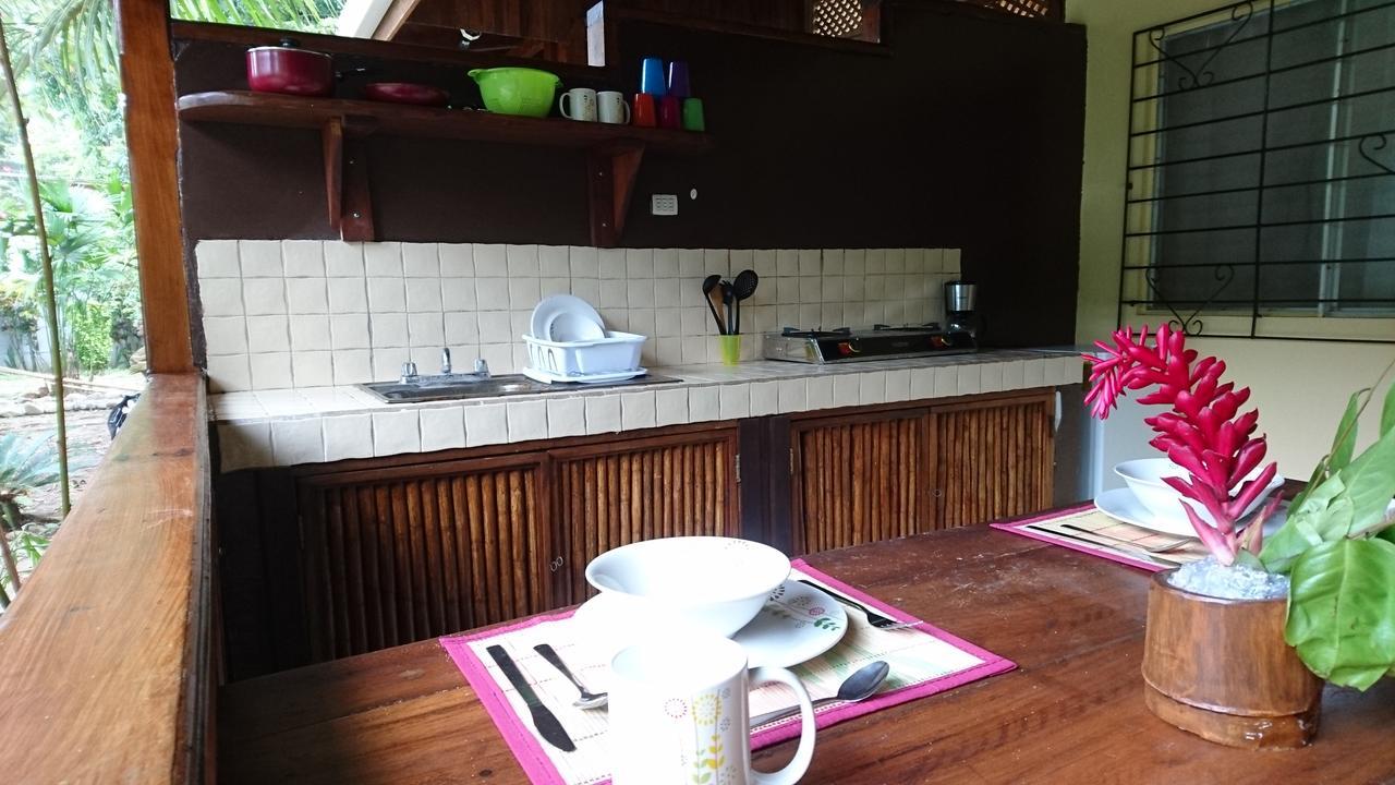 Morpheus Exotica Lodge Puerto Viejo de Talamanca 외부 사진