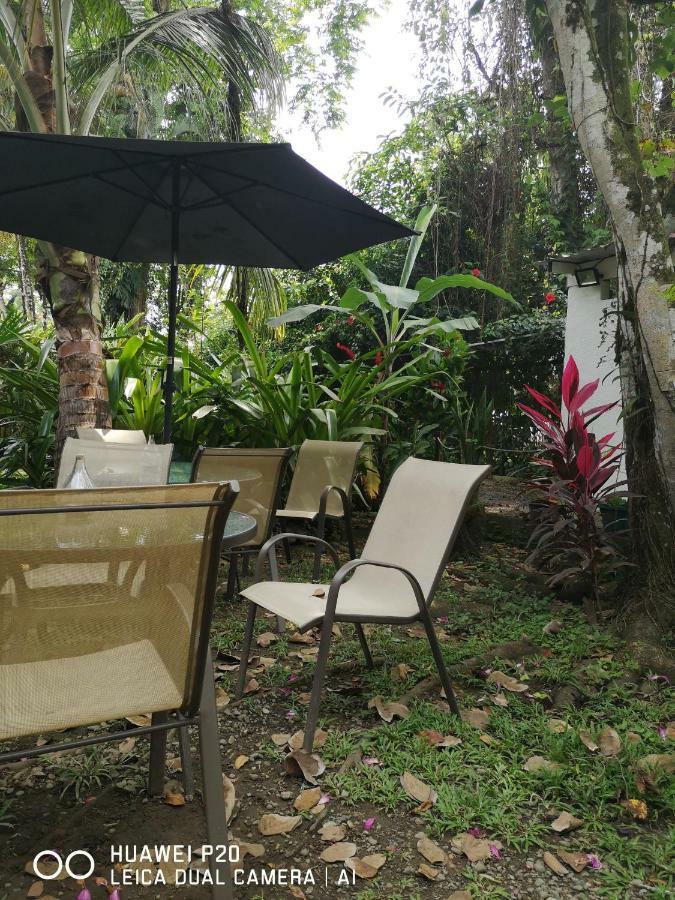 Morpheus Exotica Lodge Puerto Viejo de Talamanca 외부 사진